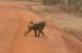 200604_Benin_023