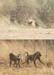 200604_Benin_024