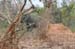 200604_Benin_031