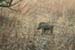 200604_Benin_032