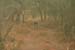 200604_Benin_034