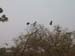 200604_Benin_037