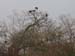 200604_Benin_038