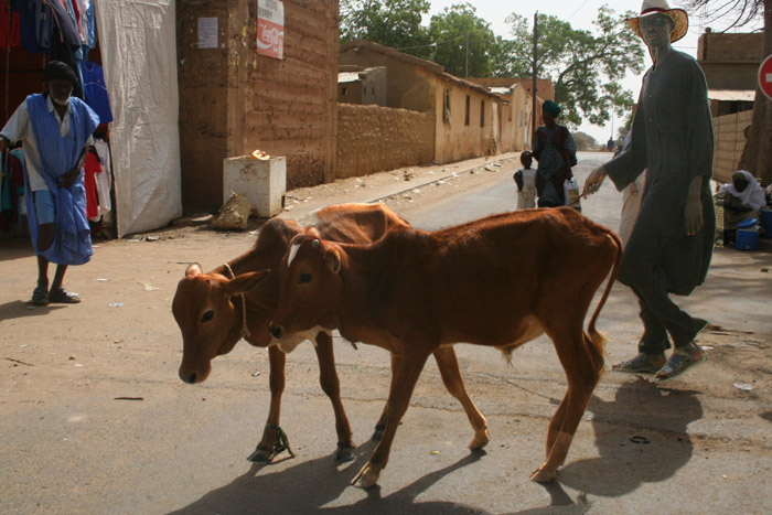 200604_Senegal_008
