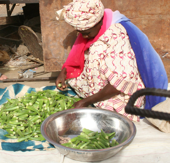 200604_Senegal_045