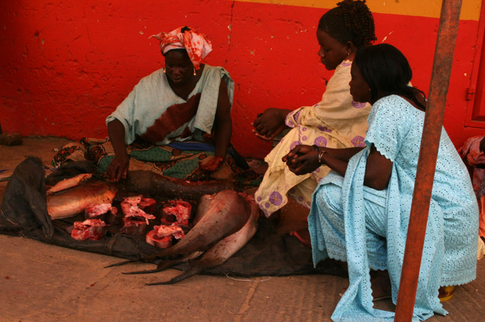 200604_Senegal_047