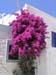 30_Paros_10
