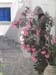 30_Paros_12