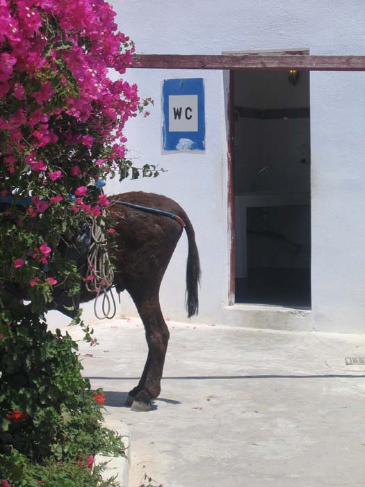 20_Santorini_30