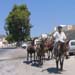 20_Santorini_28