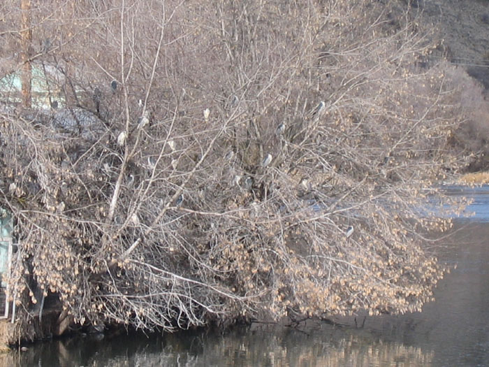20050219_04
