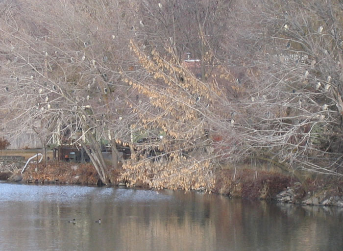 20050219_06