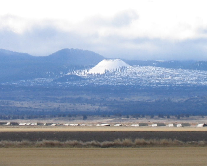 20050219_20