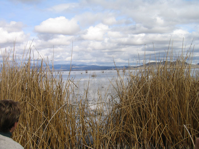 20050219_33