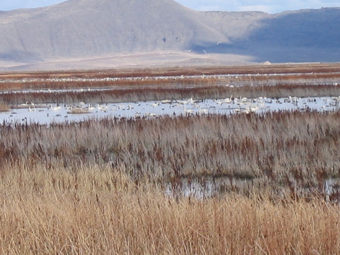 20050219_58