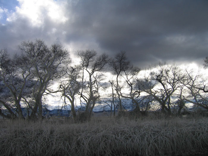 20050219_61