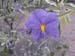 20050208_sf_05