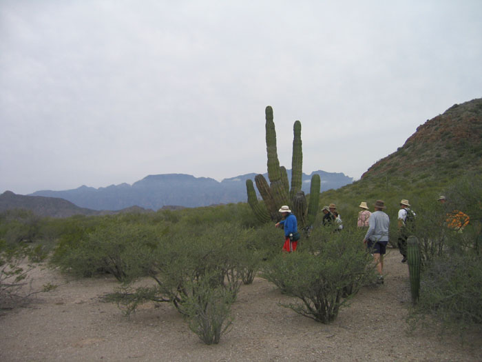 20050208_rs_14