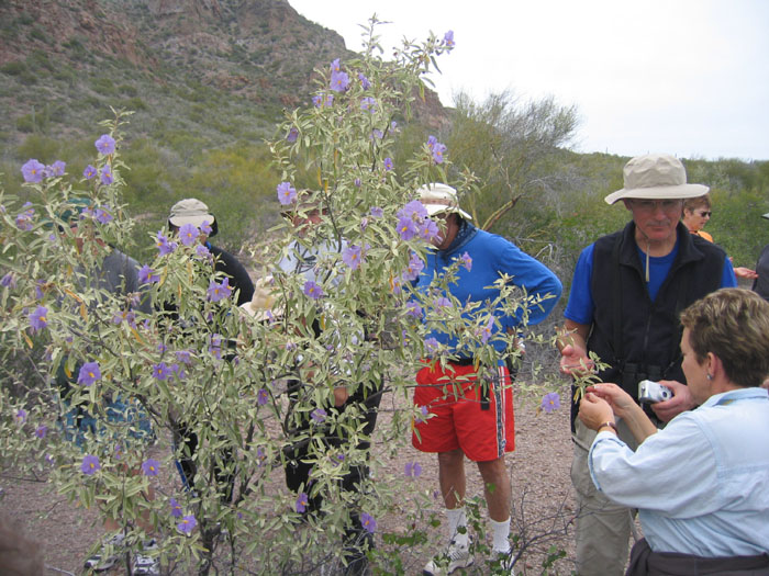 20050208_rs_17