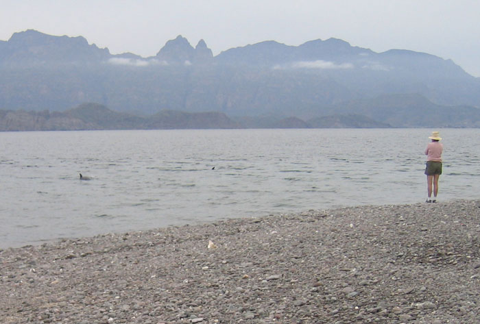 20050208_rs_19