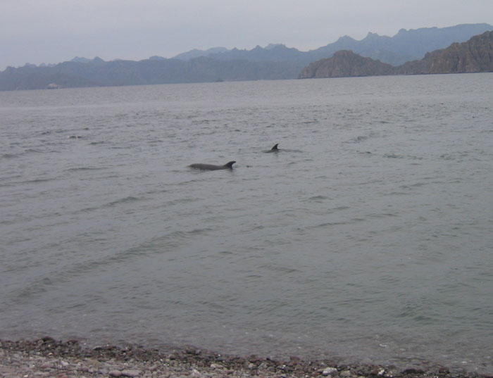 20050208_rs_21
