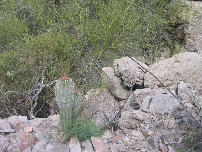 20050209_rs_05