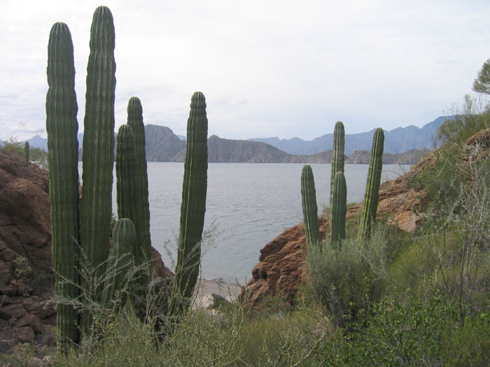 20050209_rs_06