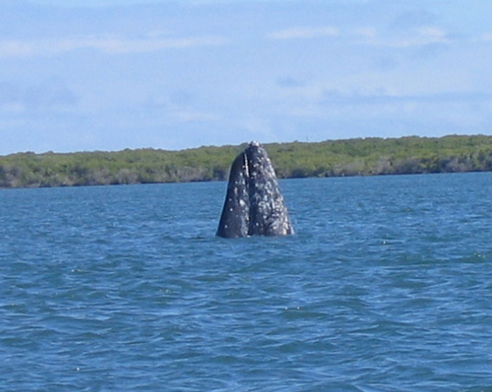 20050212_rs_04