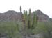 20050208_rs_15
