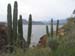 20050209_rs_06