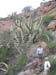 20050209_rs_09