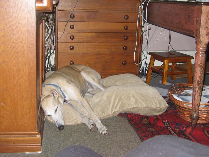 20050430_04