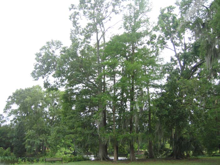 20050430_07