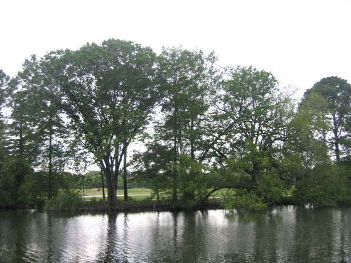 20050430_13