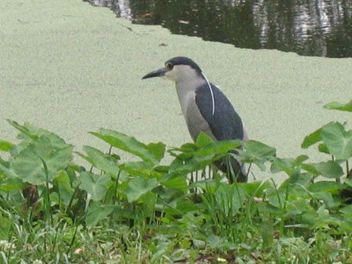 20050430_21