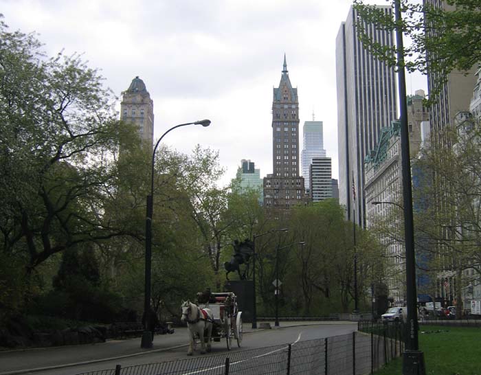 20050425_03