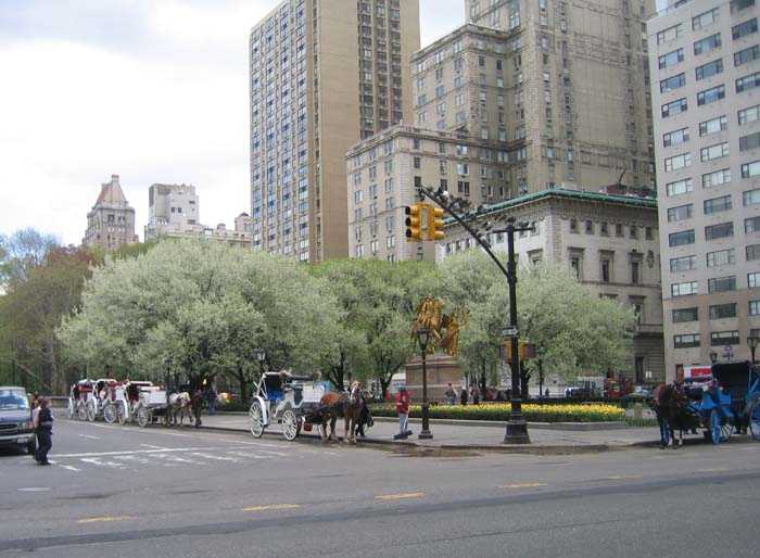 20050425_04