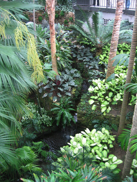 20050423_25