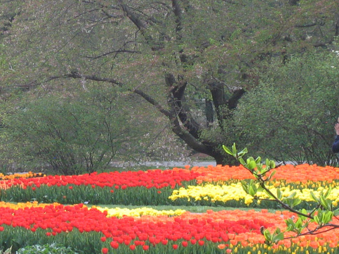 20050423_28