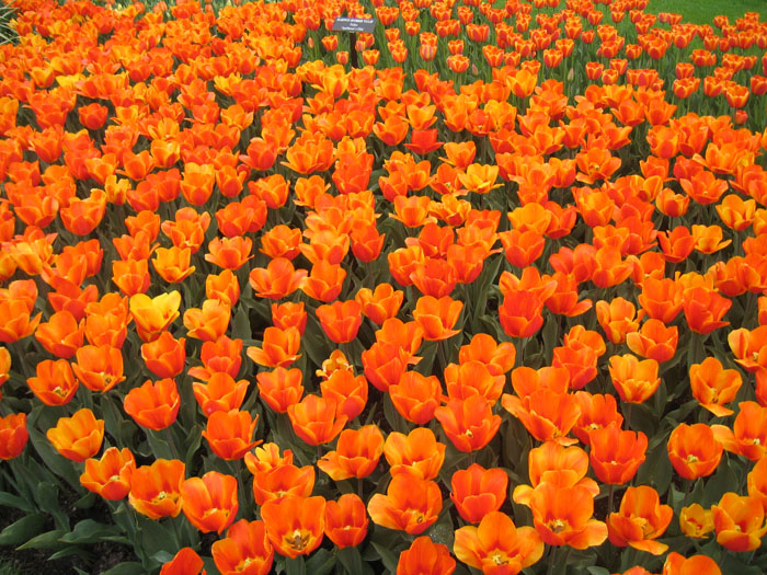 20050423_34