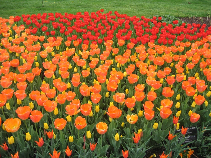 20050423_35