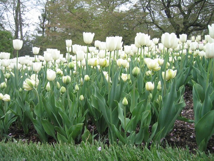 20050423_41