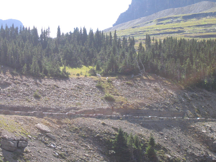 20050831_39