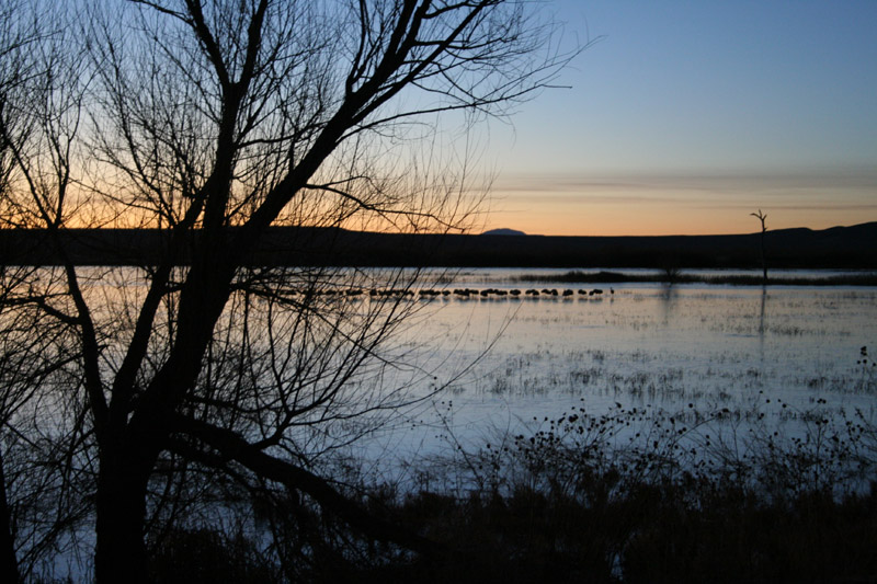 200601_Bosque_06