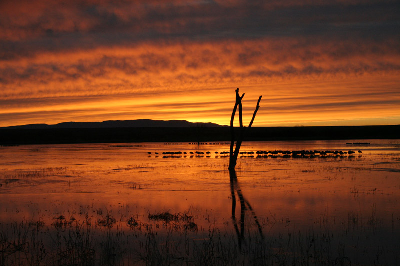 200601_Bosque_24