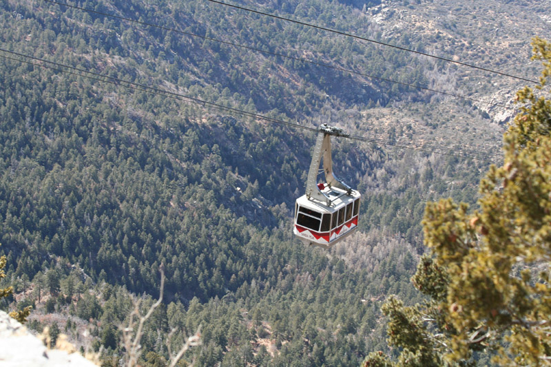 200601_Bosque_28
