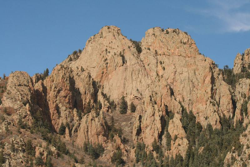 200601_Bosque_30
