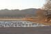 200601_Bosque_02