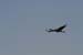 200601_Bosque_03