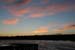 200601_Bosque_04